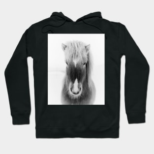 Icelandic Horse Portrait, black and white Hoodie